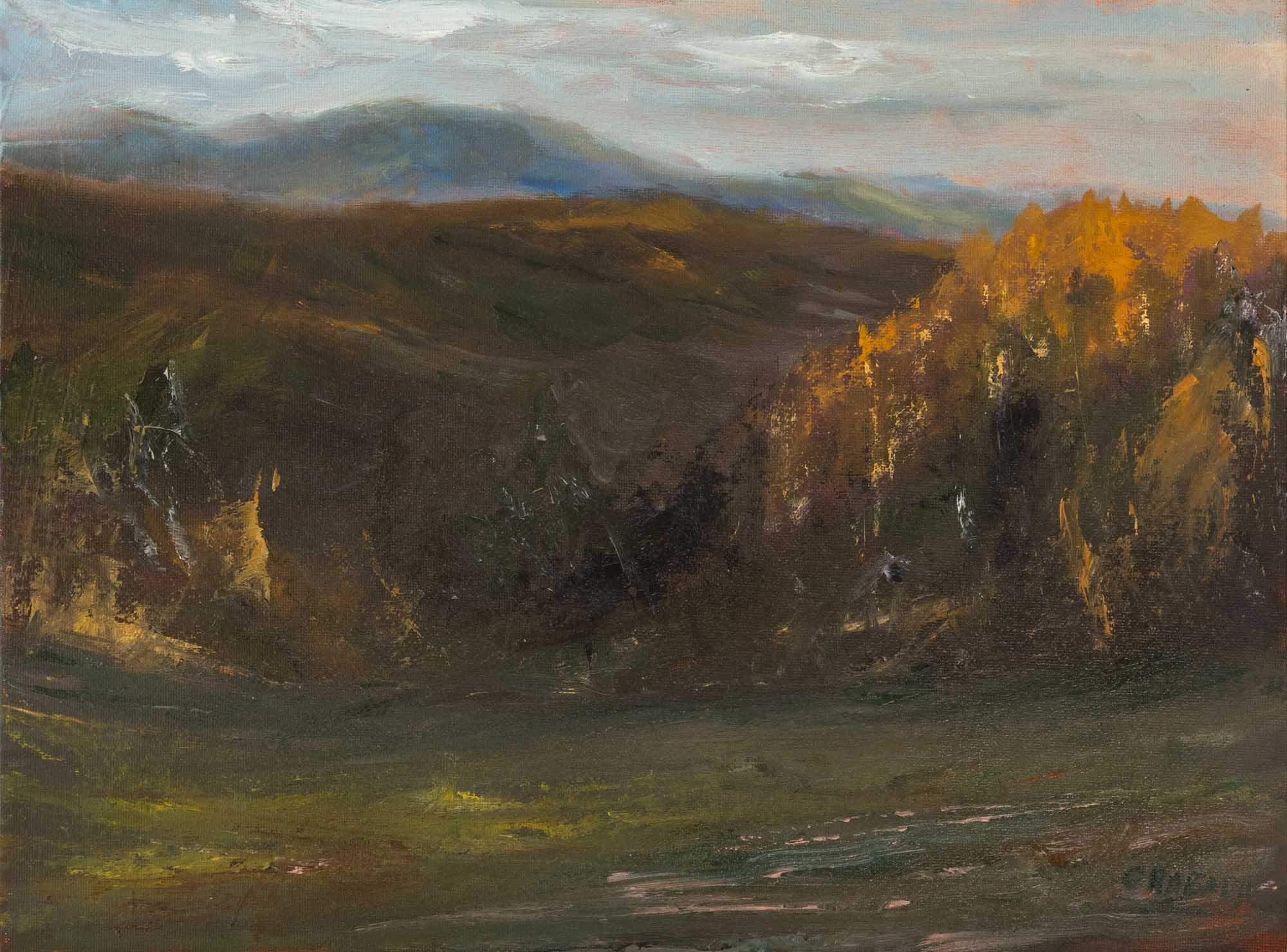 En plein air - Beskid - Laliki - olej na płótnie - 40x30cm - oprawiony